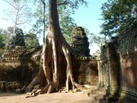 Angkor Thom - Ta Prohm Tempel