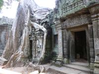 Angkor Thom - Ta Prohm Tempel