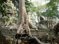 Angkor Thom - Ta Prohm Tempel