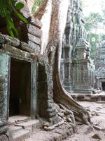 Angkor Thom - Ta Prohm Tempel