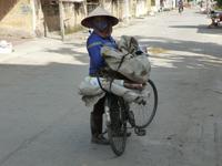 ländliches Transportmittel