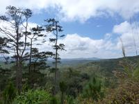 Bergland um Da Lat