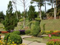Da Lat, Botanischer Garten