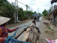 Kutschfahrt im Mekongdelta