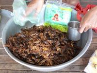 Pausensnack - Heuschrecken