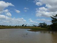 Landschaft in Kambodscha