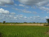 Landschaft in Kambodscha