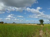 Landschaft in Kambodscha
