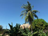 Angkor, Bakong-Tempel