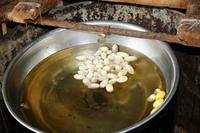 Hoi An - Seidenweberei