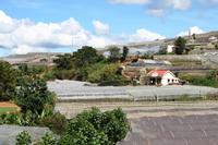 Da Lat - Gewächshäuser überall
