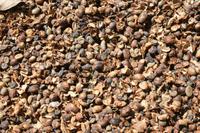 Unterwegs beim Kaffeebauern