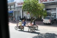 Unterwegs - Baumtransport