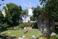 Wat Phnom Penh - Naga