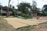 Unterwegs nach Siem Reap