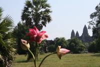 Besichtigung  in Angkor Wat