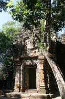 Dschungeltempel Ta Prohm