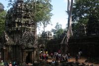 Dschungeltempel Ta Prohm