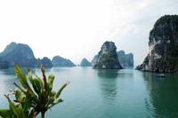 Ha Long Bucht - Dschunkenfahrt