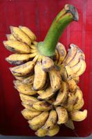 Marschverpflegung für unterwegs