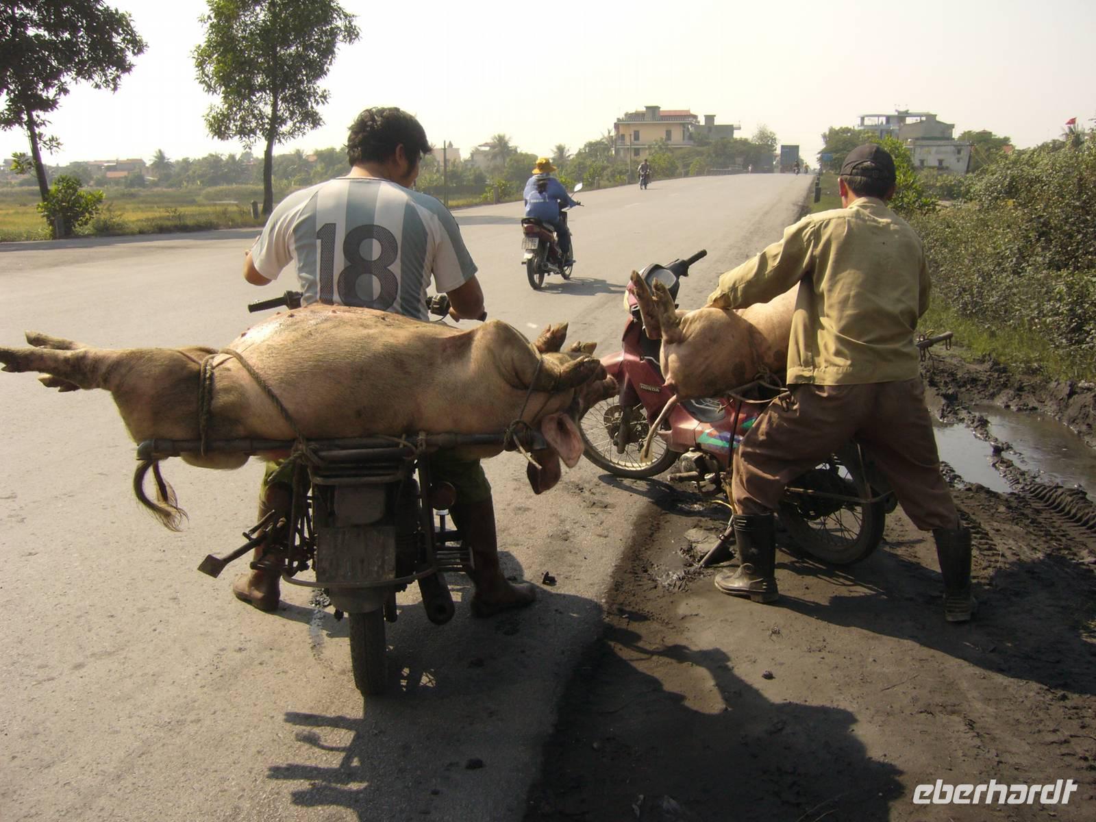 Unterwegs nach Ha Long