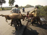 Unterwegs nach Ha Long