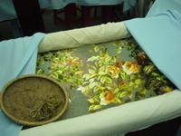 Hoi An - Seidenstickerei