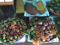 158 Manguste, Jackfrucht, Stinkfrucht, Milchfrucht, Orangen