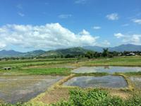 400 Fahrt nach Da Lat