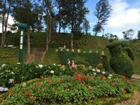 517 Blumengarten Dalat