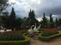 518 Blumengarten Dalat