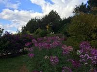 527 Blumengarten Dalat