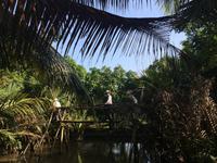 762 Affenhaengebruecke