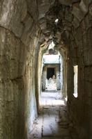 Angkor - Ta Phrom
