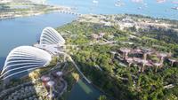 Aussicht auf Garden by the Bay 