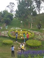 Botanischer Garten