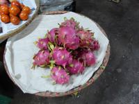 Drachenfrucht