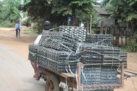 Eiertransport