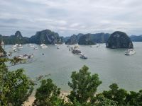 Halong-Bucht (Ausblick von der Ti Top-Insel)