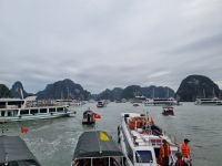 Halong-Bucht (Tenderboote an der Ti Top-Insel)