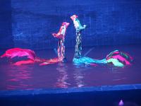 Hanoi - Wasserpuppentheater