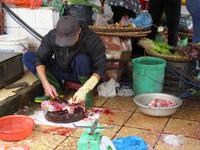 Hanoi