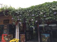Hoi An