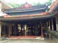 IMG 4167