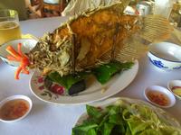 IMG 4558
