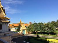 IMG 4778