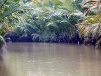 Im Mekongdelta