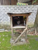 Mai Chau (Dorf der ethnischen Minderheit - 