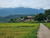 Mai Chau (Reisfelder)