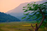 Mai Chau